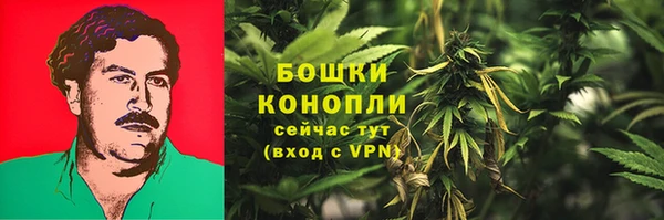 мескалин Богданович