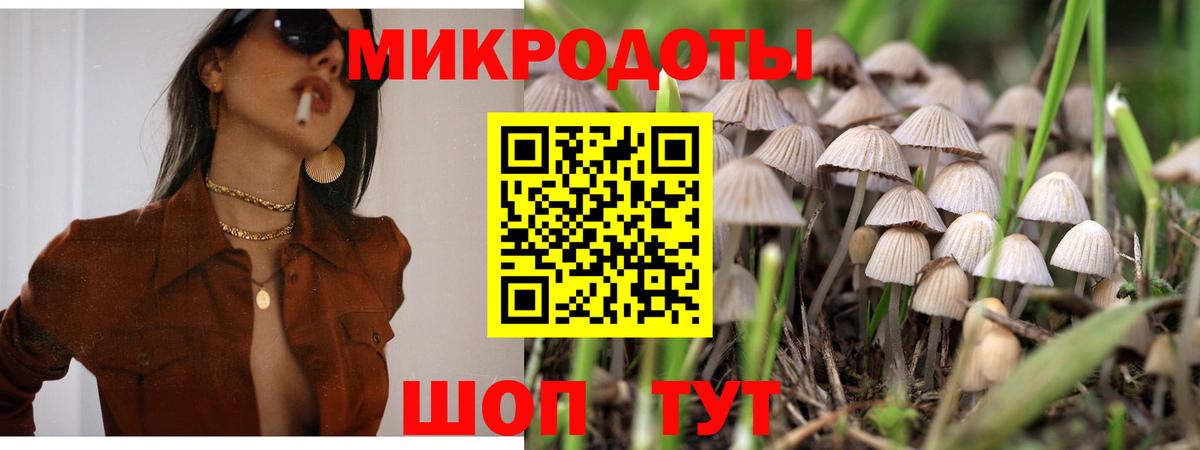 Галлюциногенные грибы прущие грибы Дальнегорск